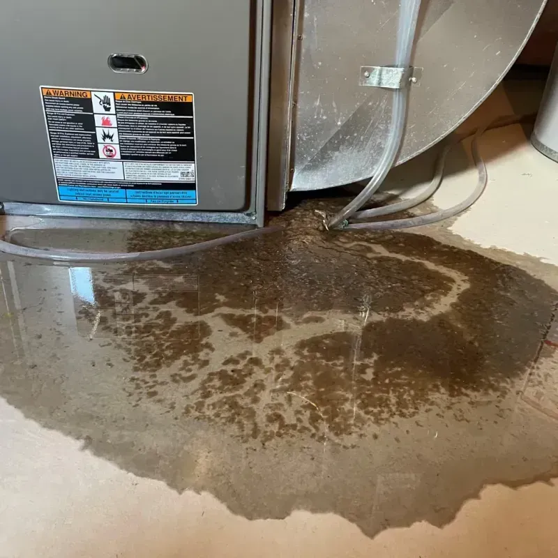 Appliance Leak Cleanup in Wake County, NC